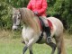 Kom och rid spanska P.R.E. hästar i naturskön miljö!